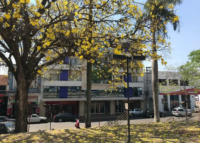 Hotel com vista: Vip Hotel